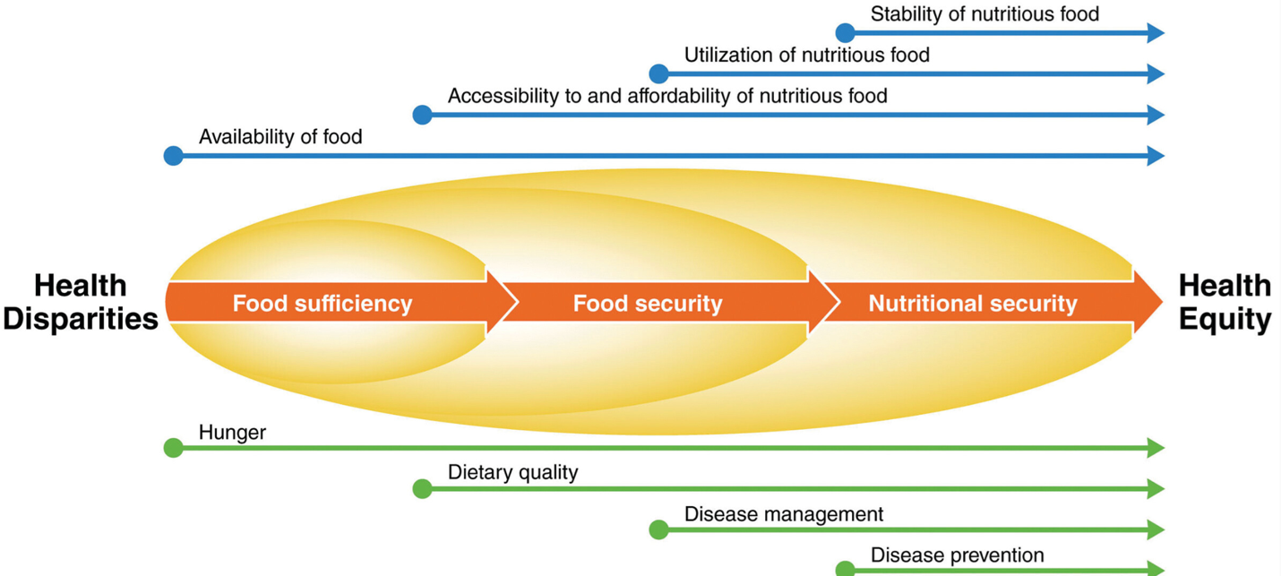 Health Equity Infographic